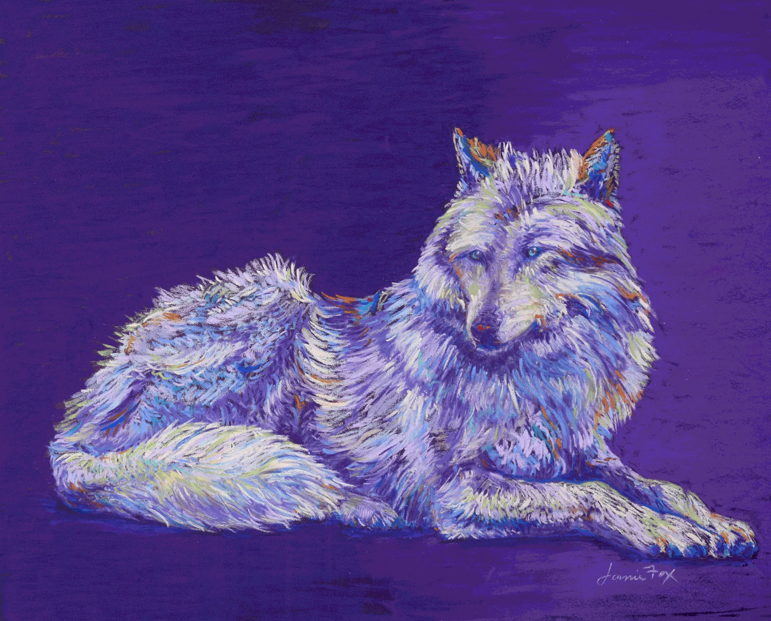 A knowing wolf lies upon a purple background.