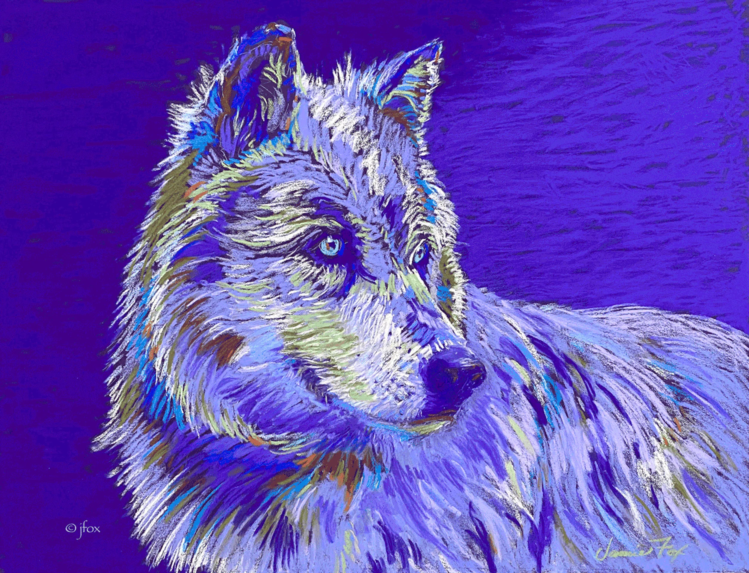 The head of a wolf drawn on a purple background stares to the left.