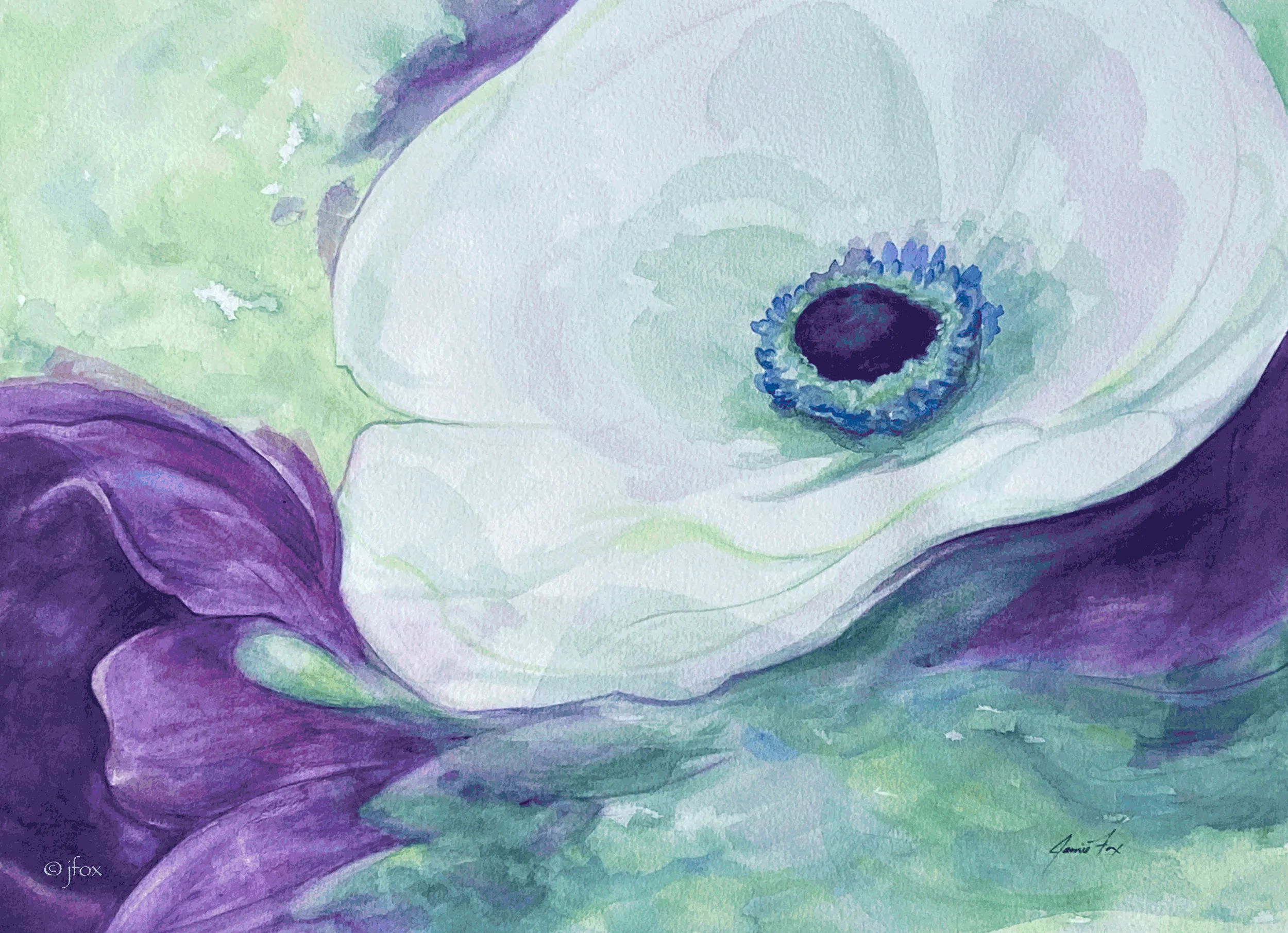 Violet and white anemones overlap swirling green leaves.