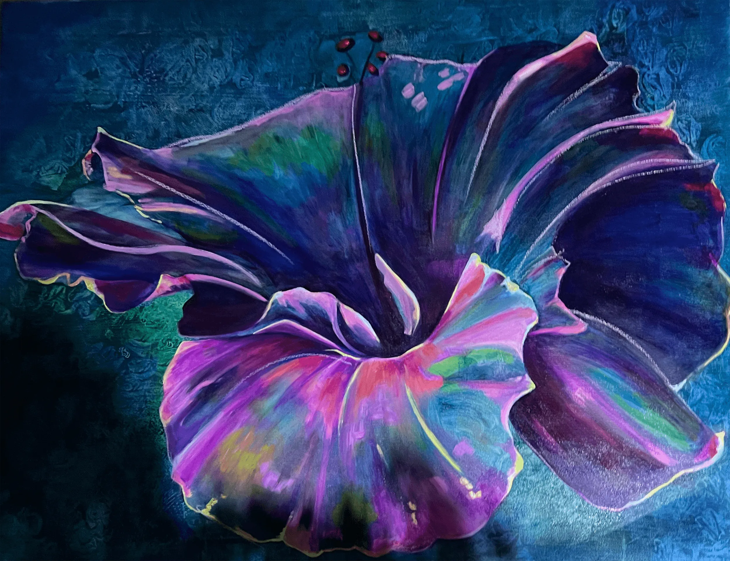 A multi-color hibiscus with a textured blue background.