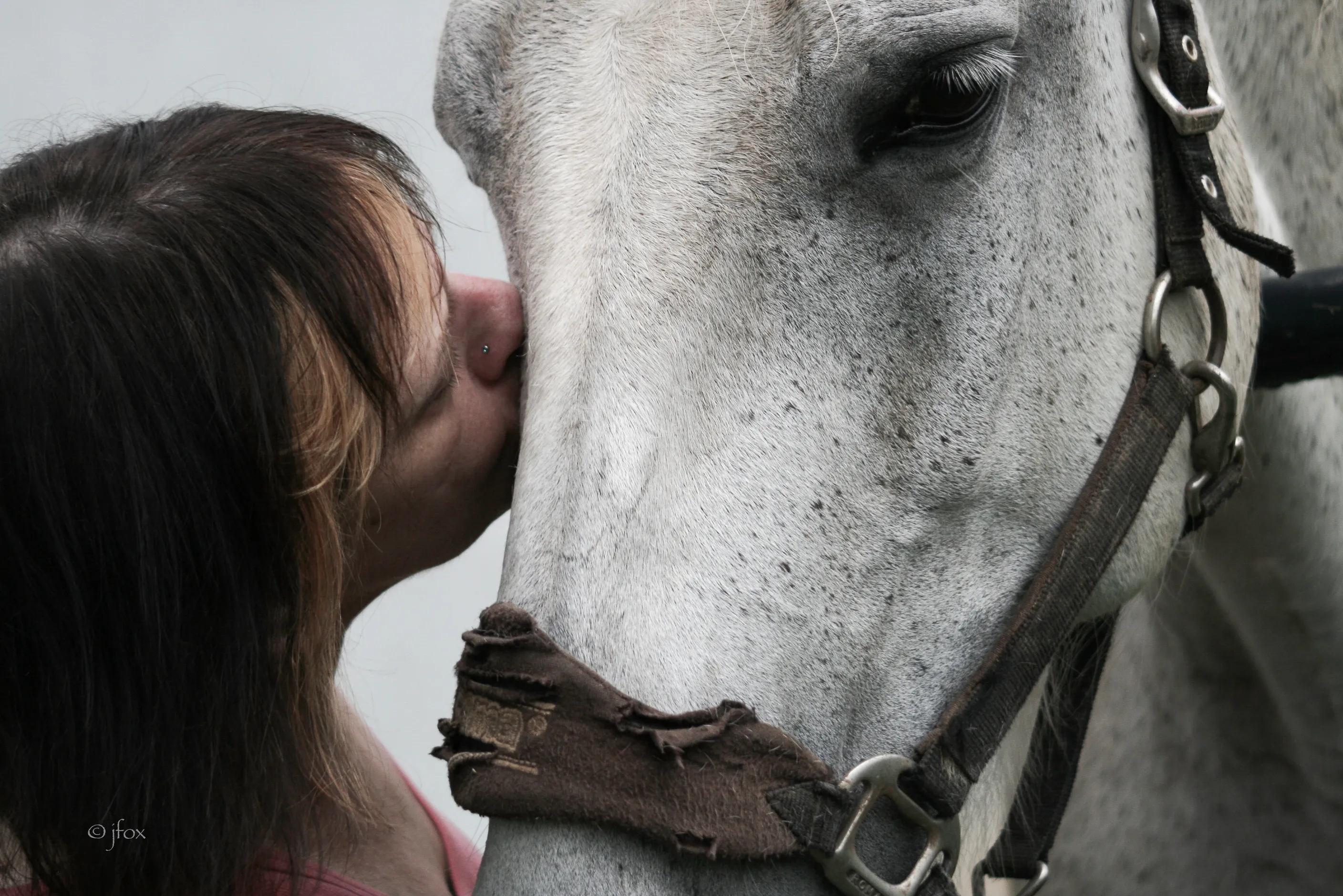 A woman with dark hair and her white horse face each other in empathy.