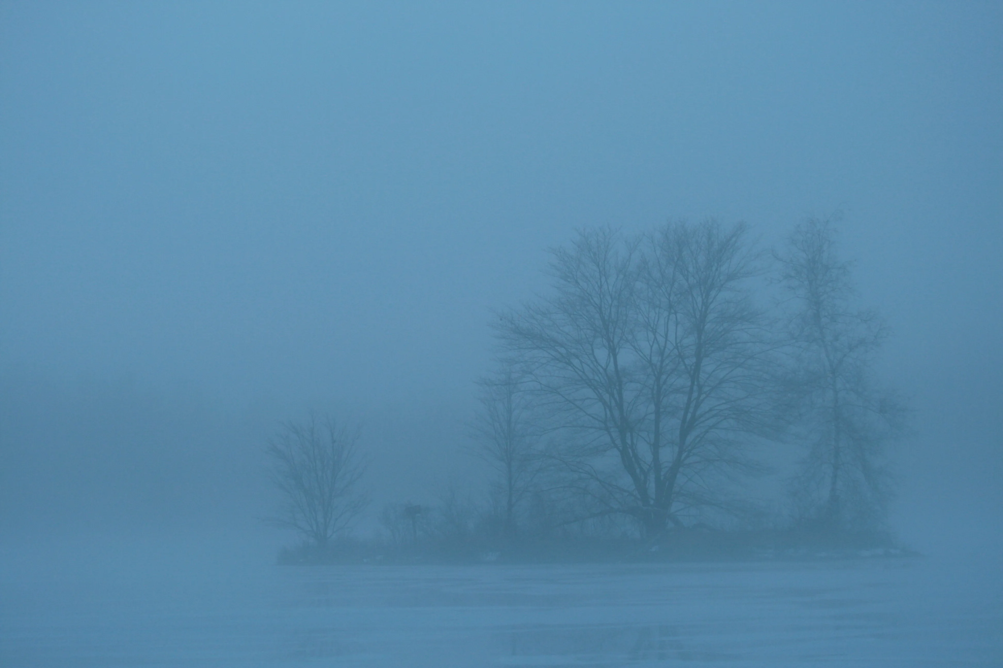 A small island in the middle of a lake is enveloped in blue fog.