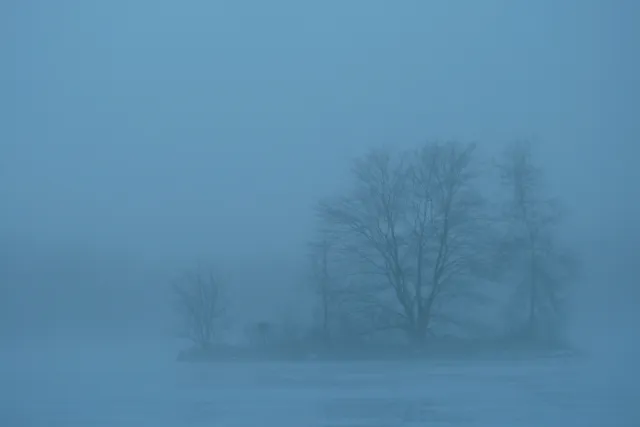 A small island in the middle of a lake is enveloped in blue fog.